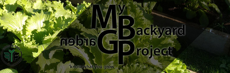 My Backyard Garden Project